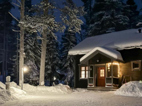 Holiday Home Alppitalo a by Interhome Ylläsjärvi